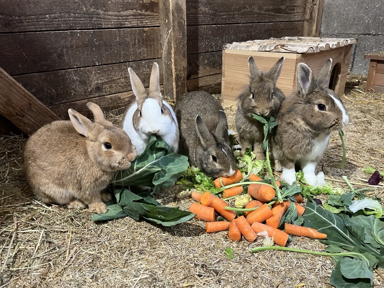 WhatsApp Image 2026-01-10 at 15.46.16.jpeg